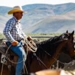 Legend on horse via Pexels