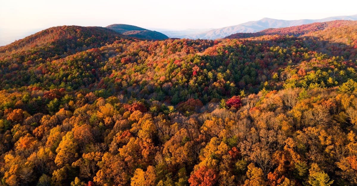Appalachian Mountains Autumn via Pexels