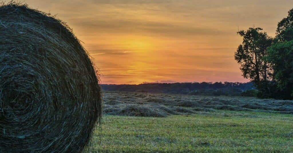 Serene sunset over a Maryland farm field with hay bales and trees via Pexels