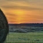 Serene sunset over a Maryland farm field with hay bales and trees via Pexels