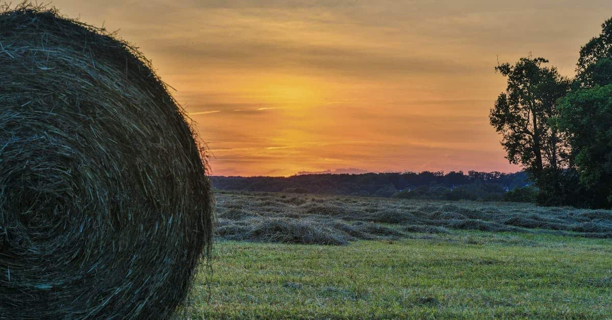 Serene sunset over a Maryland farm field with hay bales and trees via Pexels