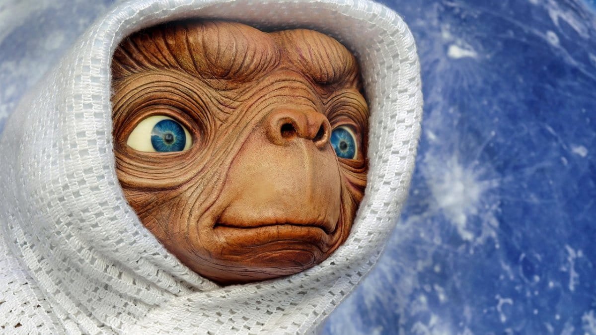 et,  extraterrestrial,  creature,  figure,  fantasy,  planets,  science fiction,  head,  face,  cute,  dear,  sweet,  close up,  extraterrestrial,  extraterrestrial,  extraterrestrial,  extraterrestrial,  fantasy,  planets,  planets,  planets,  planets,  science fiction,  science fiction,  science fiction,  science fiction,  science fiction