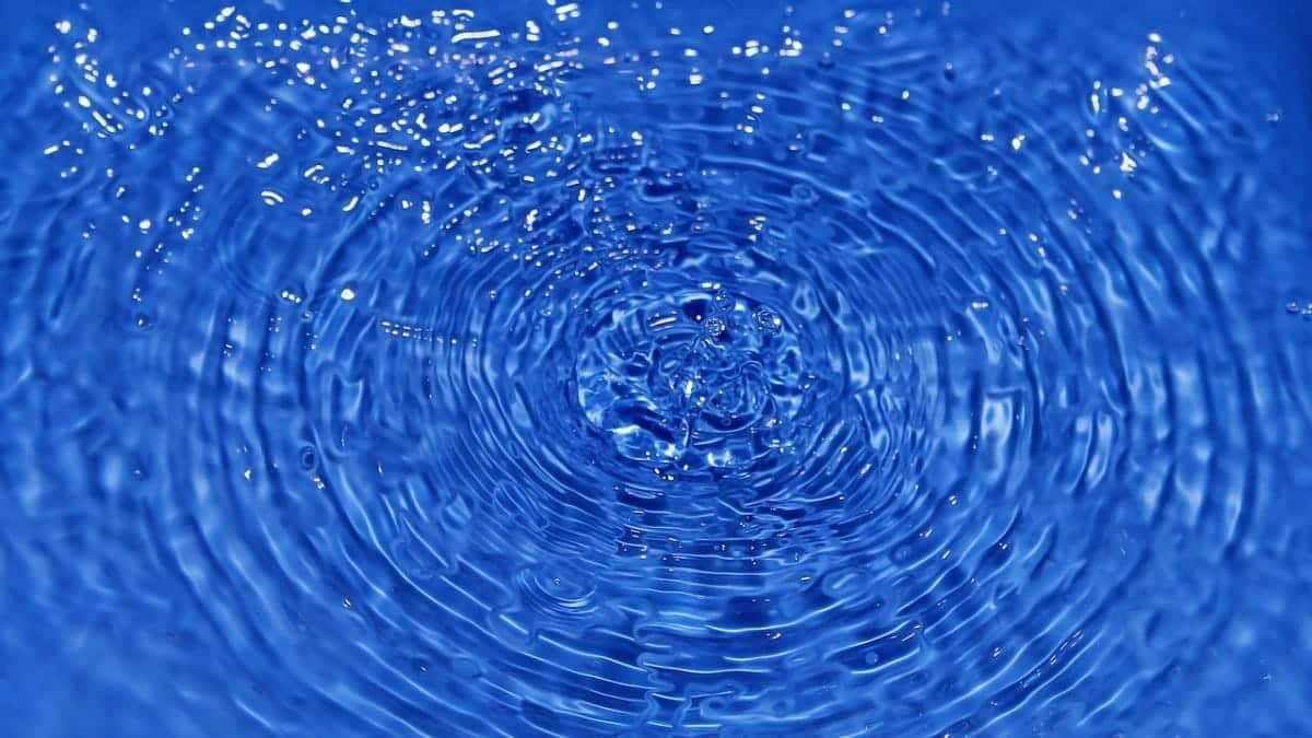drop, splash, impact, ripples, nature, water, ripple effect, waves, drip, liquid, surface tension, water surface, blue water