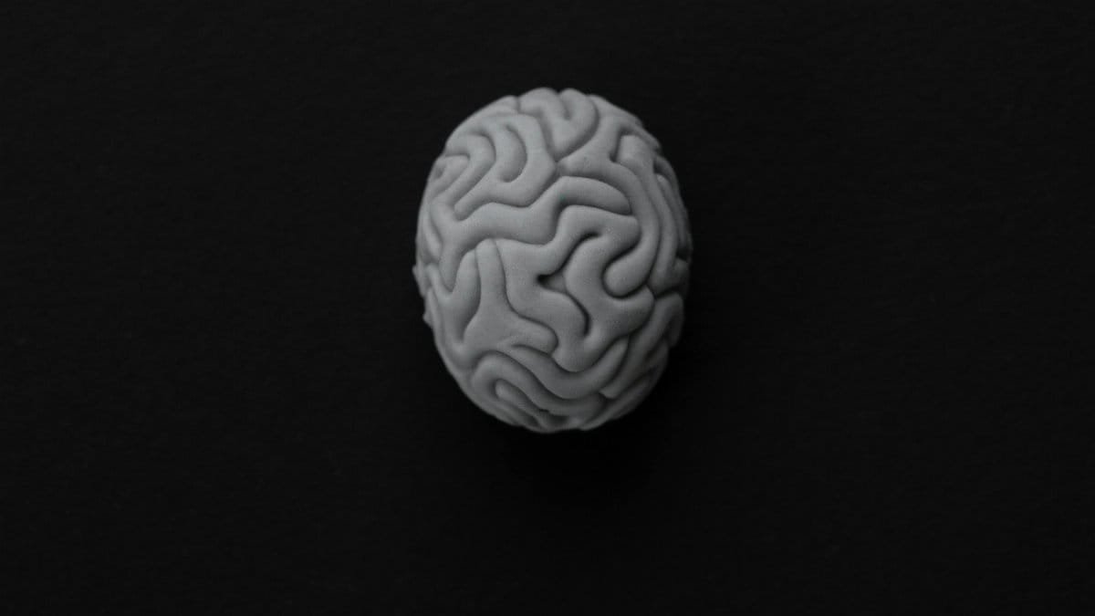 Monochrome representation of a brain against a dark background, symbolizing mental health. via Pexels