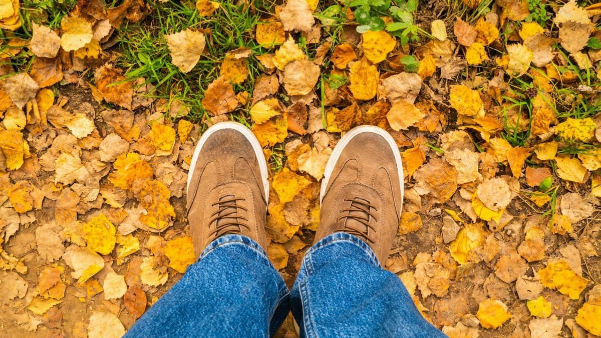 Brown shoes and blue jeans stand on a path covered with vibrant yellow and brown autumn leaves.