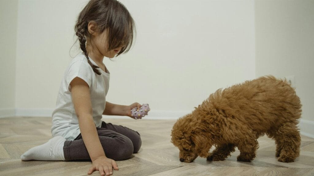 A young girl sits on the floor with her fluffy puppy in a bright room. via Pexels