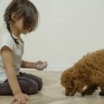 A young girl sits on the floor with her fluffy puppy in a bright room. via Pexels