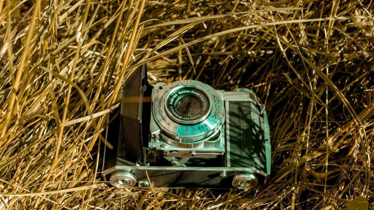 Vintage camera resting among dry grass, showcasing retro photography feel.