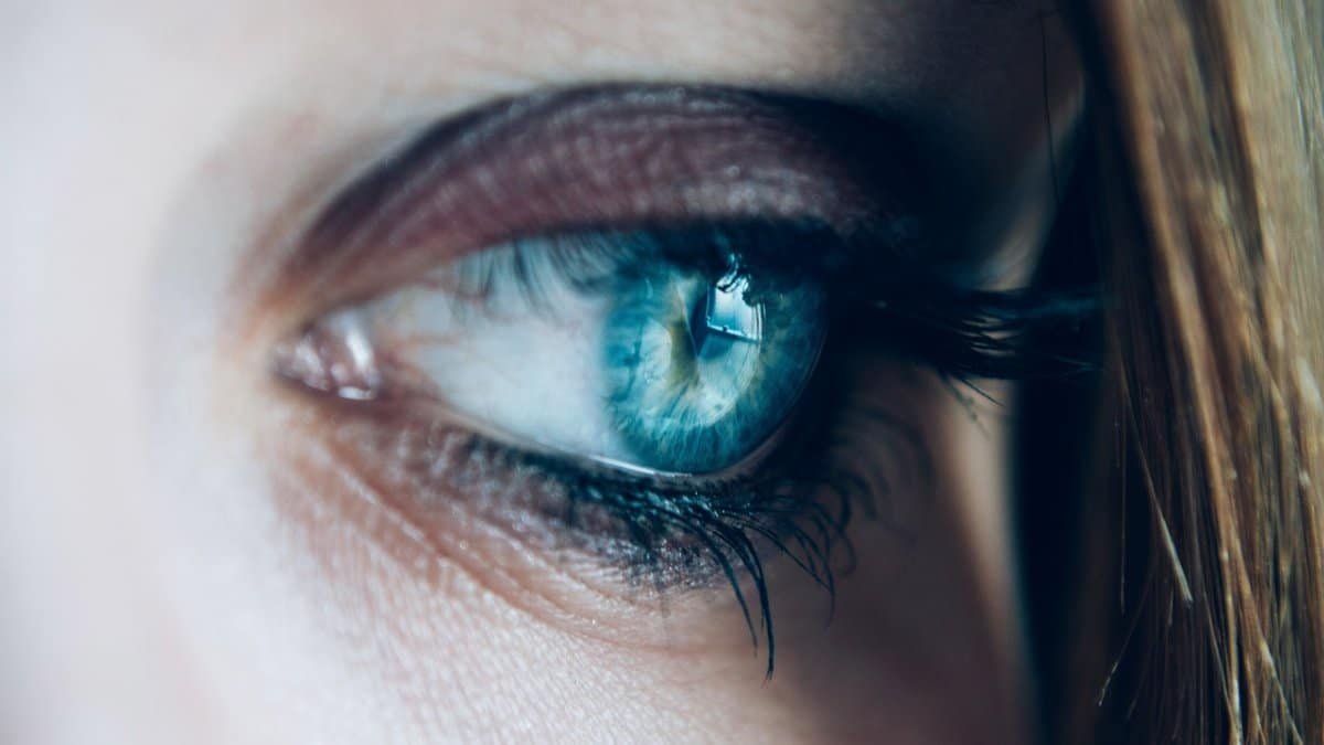 close up, eye, eyelashes, see, woman, vision, sight, look, iris, pupil, retina, macro, female eye, eye, eye, eye, eye, eye, see