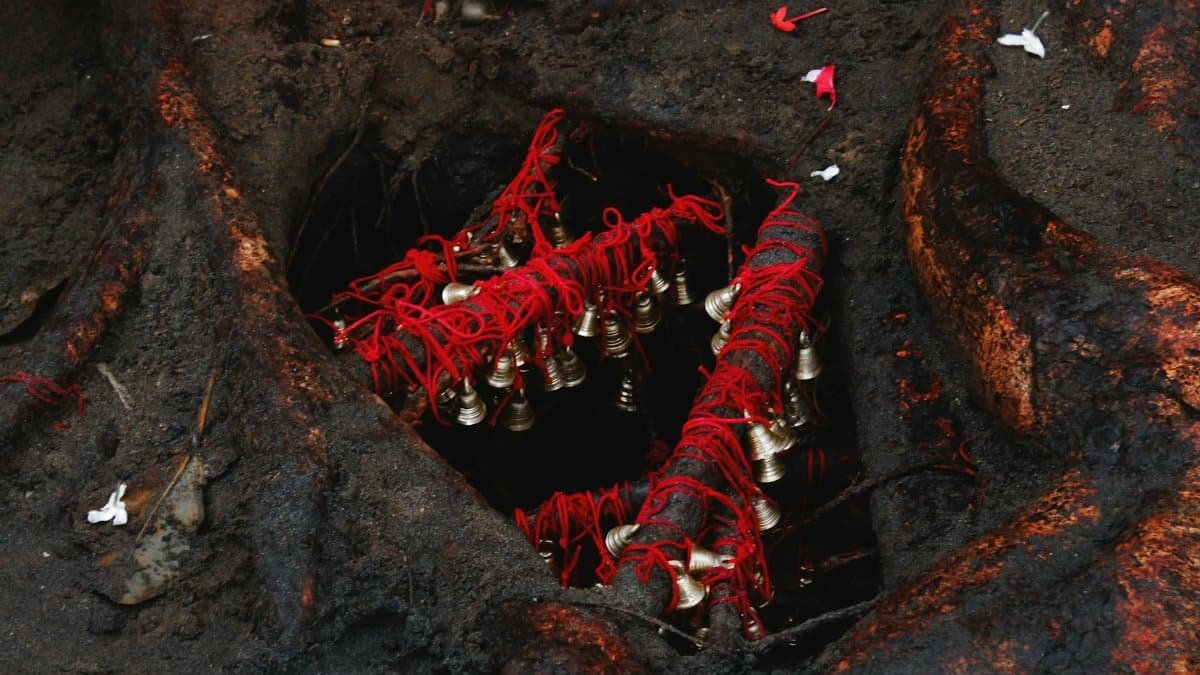 Ritual bells tied with red threads at a sacred site in Chavara, India.