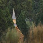 Wooden chapel hidden among dense green trees, showcasing serene tranquility in nature.