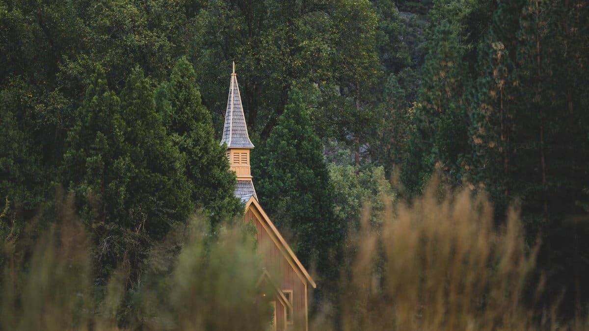 Wooden chapel hidden among dense green trees, showcasing serene tranquility in nature.