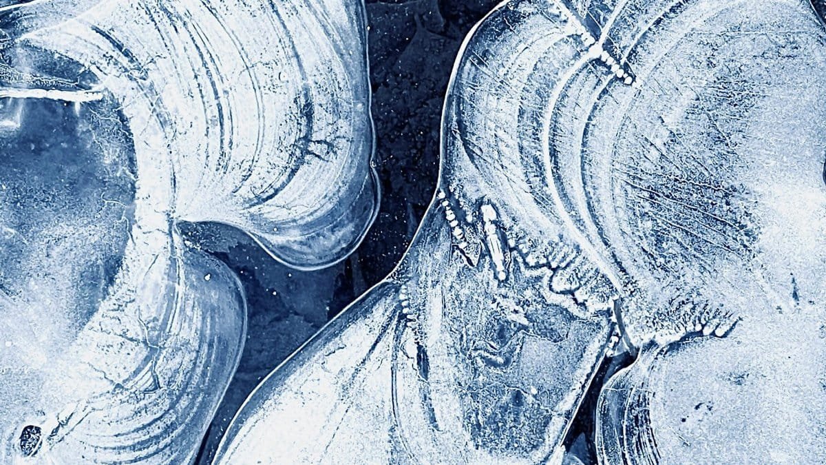 Close-up of swirling ice patterns showcasing textures and natural artistry.