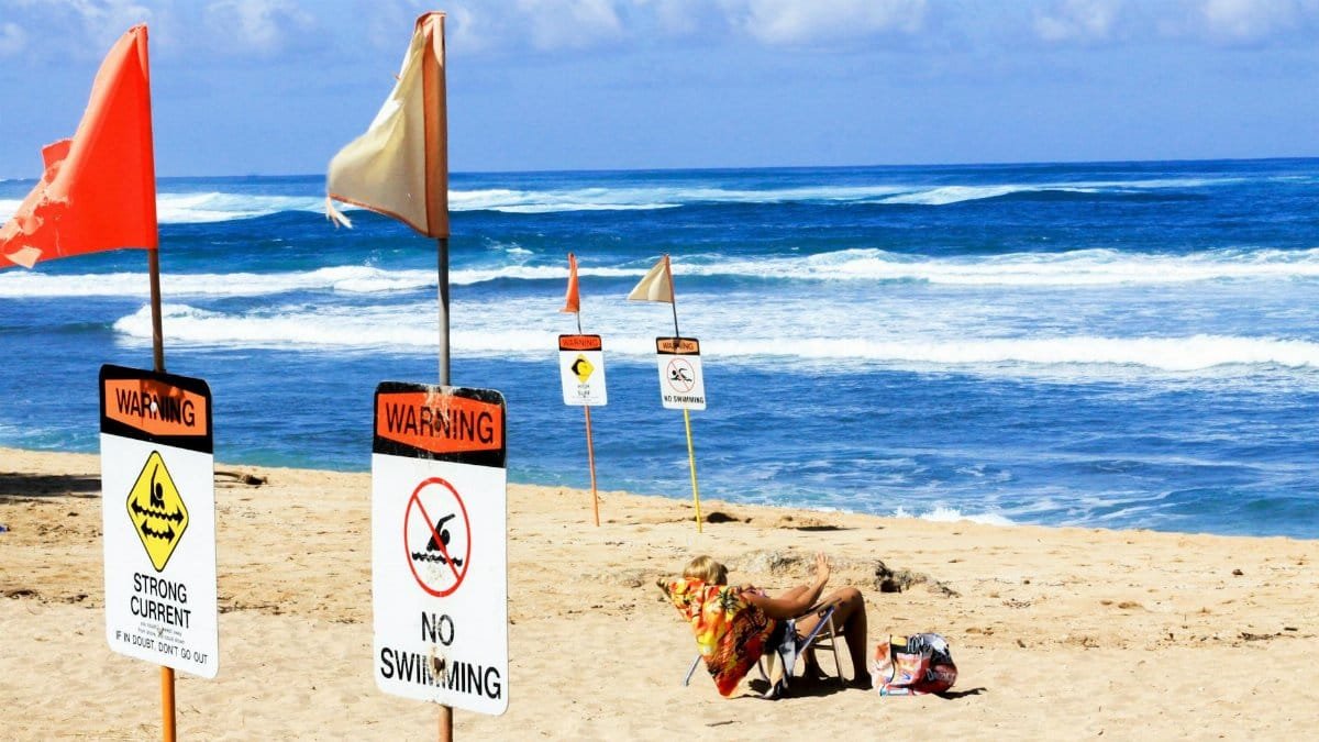 Sunny beach scene with no swimming warning signs, ocean waves, and a person relaxing.