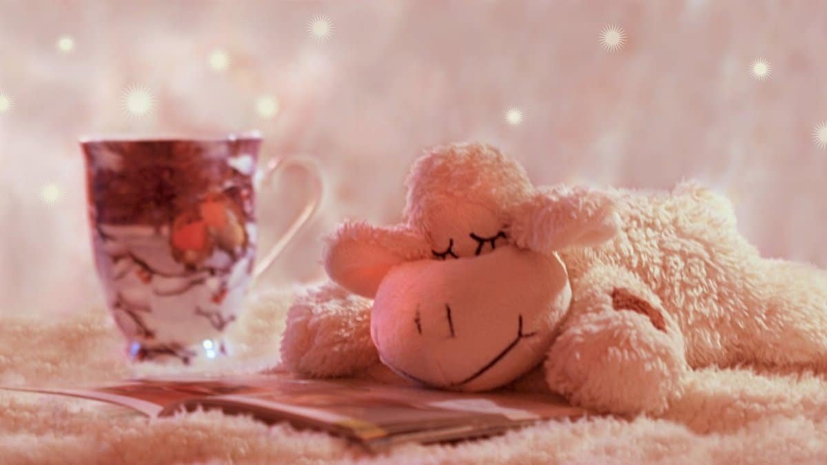 still life, lamb, stuffed animal, lying, blanket, winter, hot drink, feel good, a book, read, satisfied, fall asleep, dreams, feel good, feel good, feel good, feel good, feel good, satisfied, fall asleep