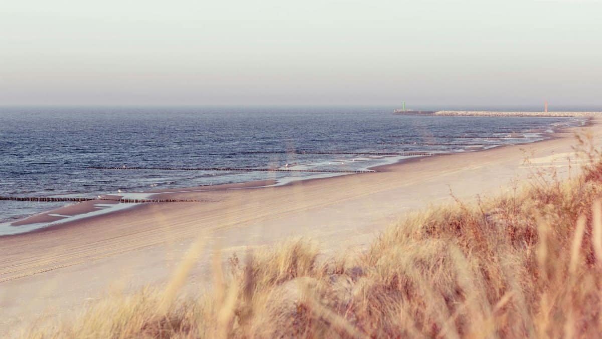 Serene beach scene with gentle surf and sandy shores during sunrise.