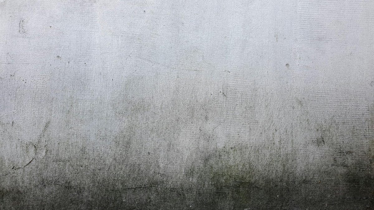 Close-up of a textured concrete wall with subtle grunge pattern, perfect for backgrounds or design elements.