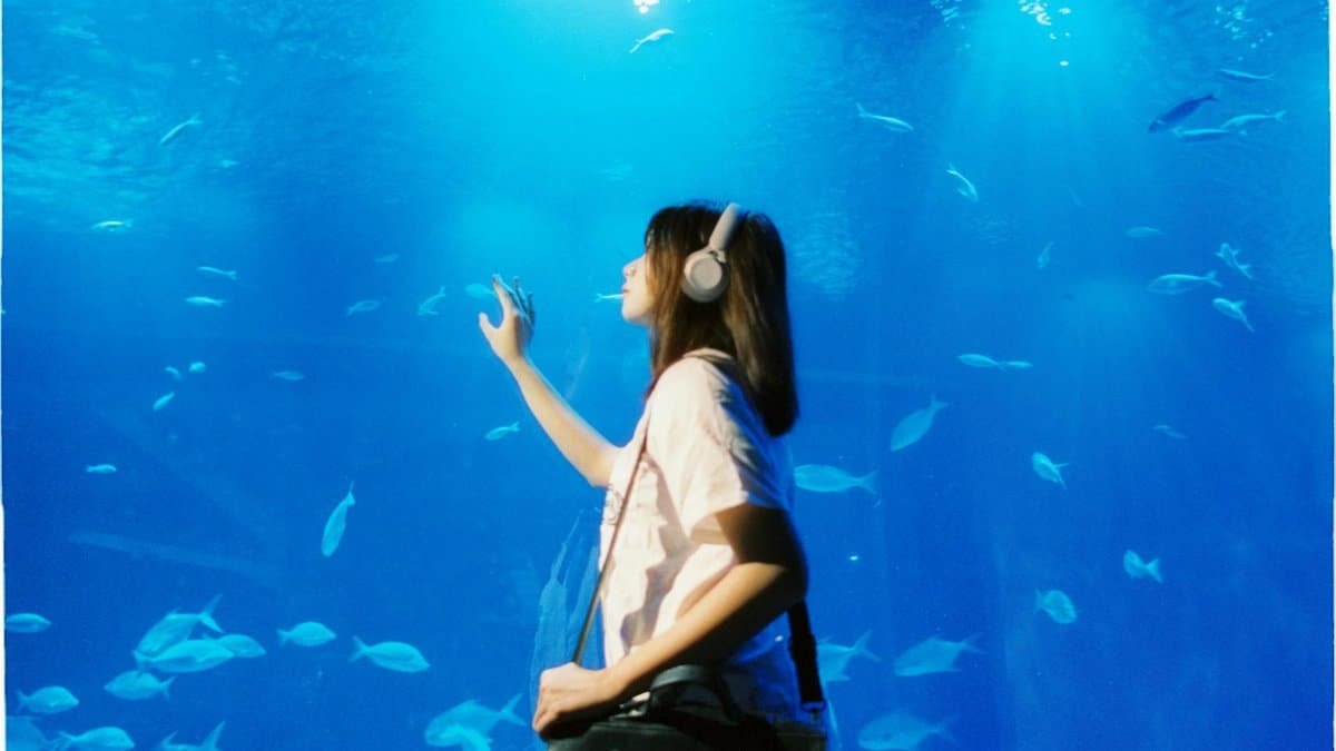 Young woman with headphones gazing at fish in a large aquarium tank.