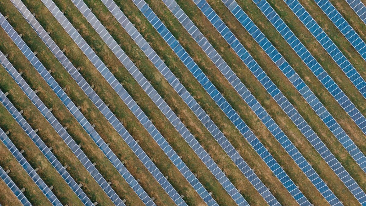 Aerial view of uniform solar panels in a green field, showcasing sustainable energy.