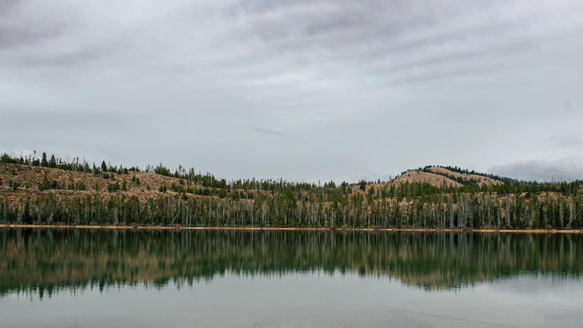 A tranquil lake in Idaho reflecting the surrounding trees and hills under a cloudy sky.