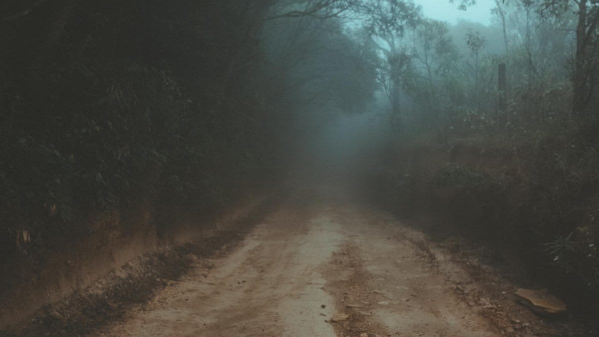 A mysterious foggy road winding through a dense forest, creating an eerie atmosphere.