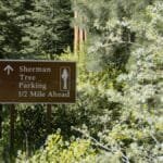 Sign indicating Sherman Tree parking is half a mile ahead in Sequoia National Park.