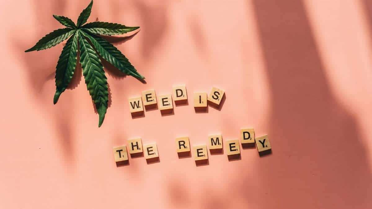 Cannabis leaf beside letter tiles spelling 'weed is the remedy' on a pink background.