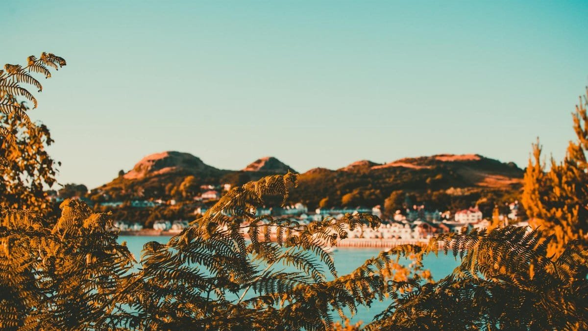 Tranquil landscape with fern leaves, hills, and a village under a vibrant sky.