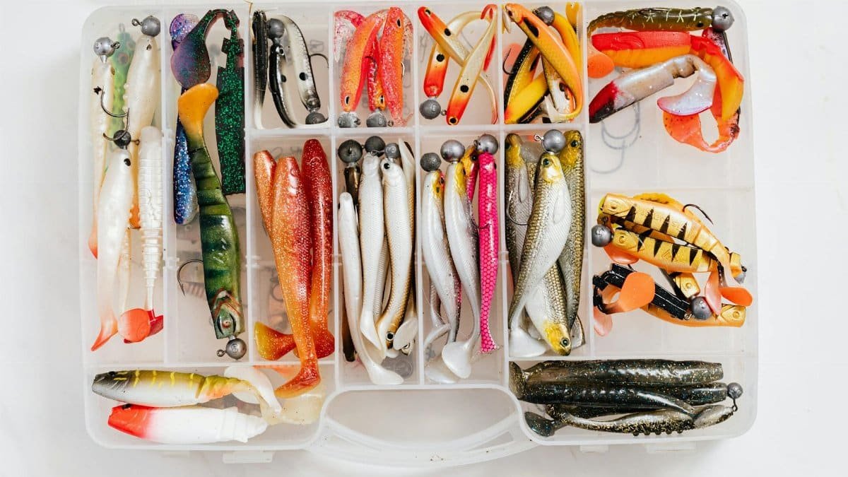 Vibrant fishing lures neatly organized in a tackle box, perfect for hobbyist anglers.