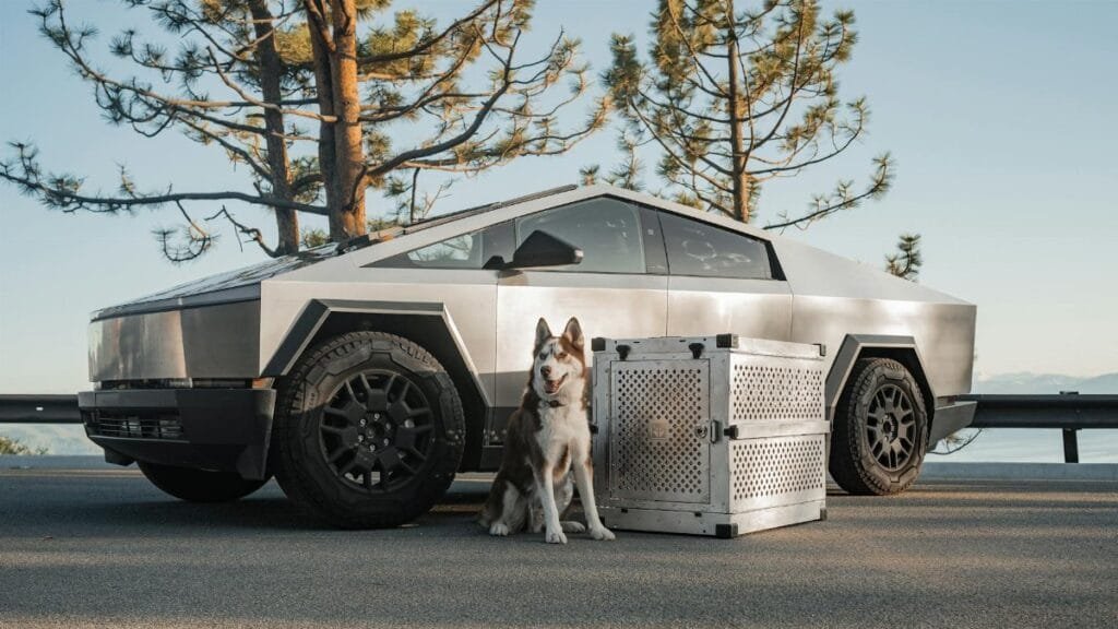 A Tesla Cybertruck parked outdoors with a dog and premium crate, set against a scenic backdrop.