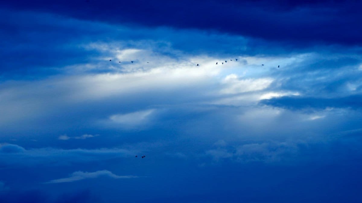 Captivating shot of a moody blue sky, clouds, and a flock of birds at dusk.