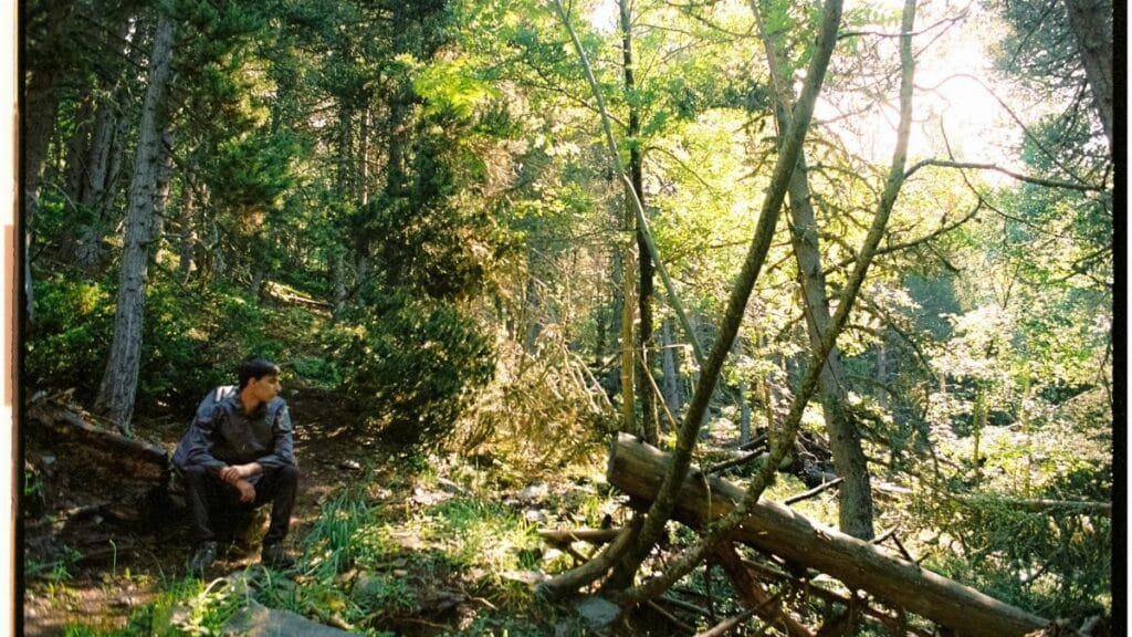 A man sits on a rock amidst a sunlit forest, enjoying a tranquil moment in nature.
