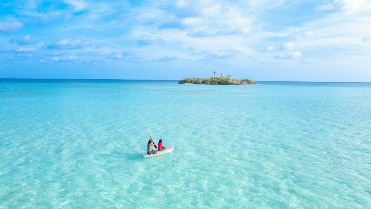 Kayakers paddle near a distant island under a serene blue sky in clear waters.