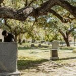 A man stands alone in a peaceful cemetery, reflecting on life and loss.
