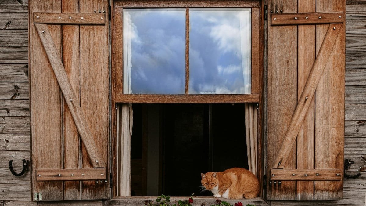 A ginger cat relaxes on a wooden window ledge of a rustic house under a clear sky.