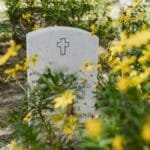 Gravestone amidst yellow flowers in tranquil cemetery setting.
