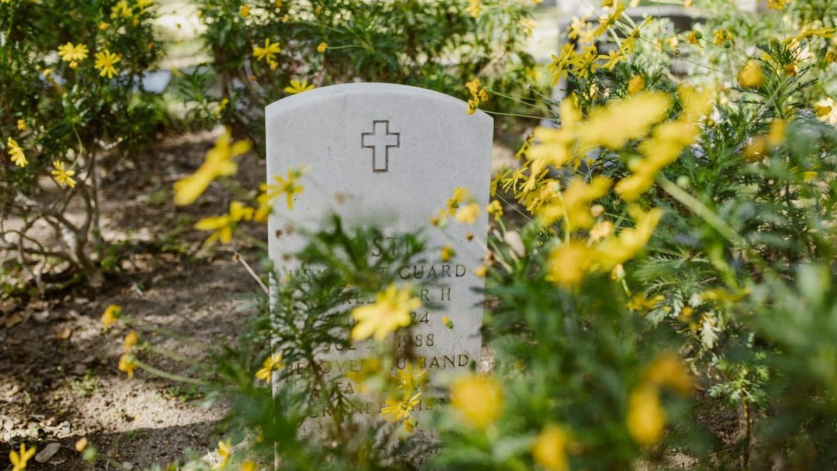 Gravestone amidst yellow flowers in tranquil cemetery setting.