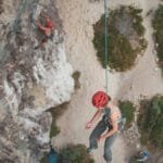 From above of anonymous people hanging on ropes while climbing on stony cliffs with green bushes