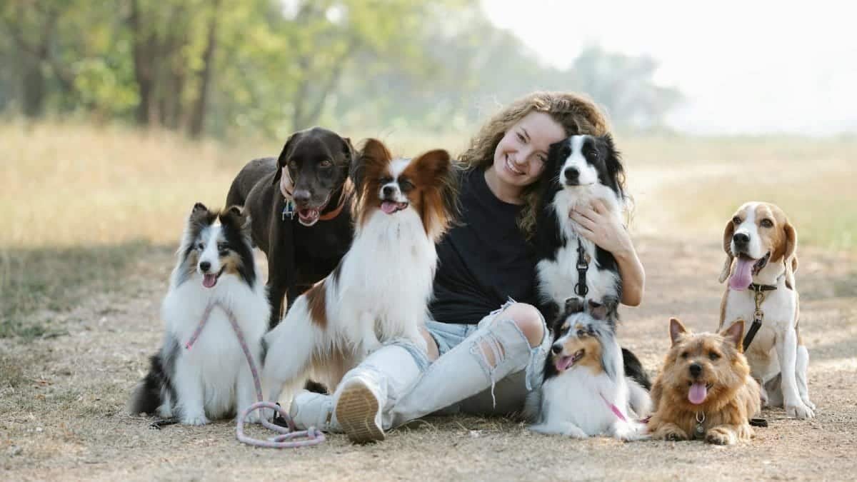A cheerful woman sitting with various dog breeds in a sunny park, showcasing companionship.