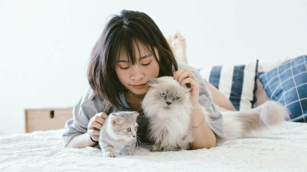 Young Asian woman relaxing on a bed with two fluffy cats in a cozy bedroom.