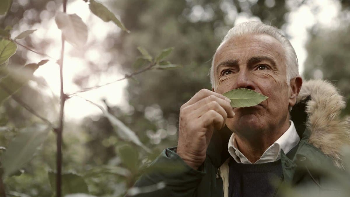 A senior adult outdoors with white hair savoring the scent of a leaf, surrounded by greenery.