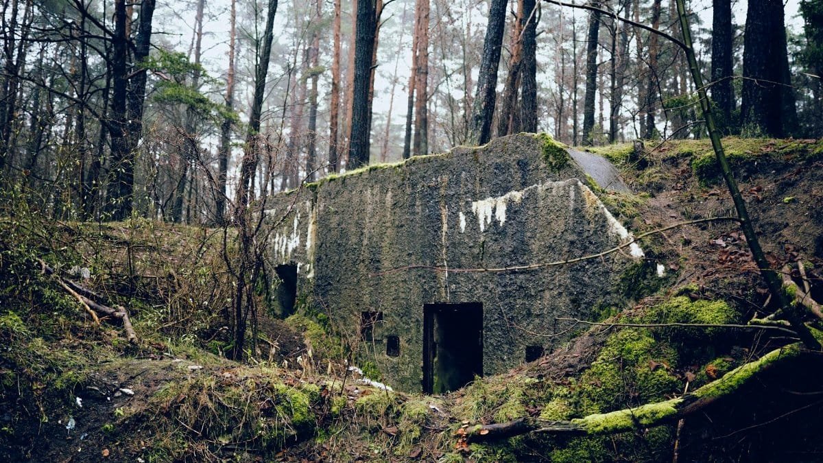 A moss-covered WWII bunker hidden in the dense forests of Tylkowo, Poland.