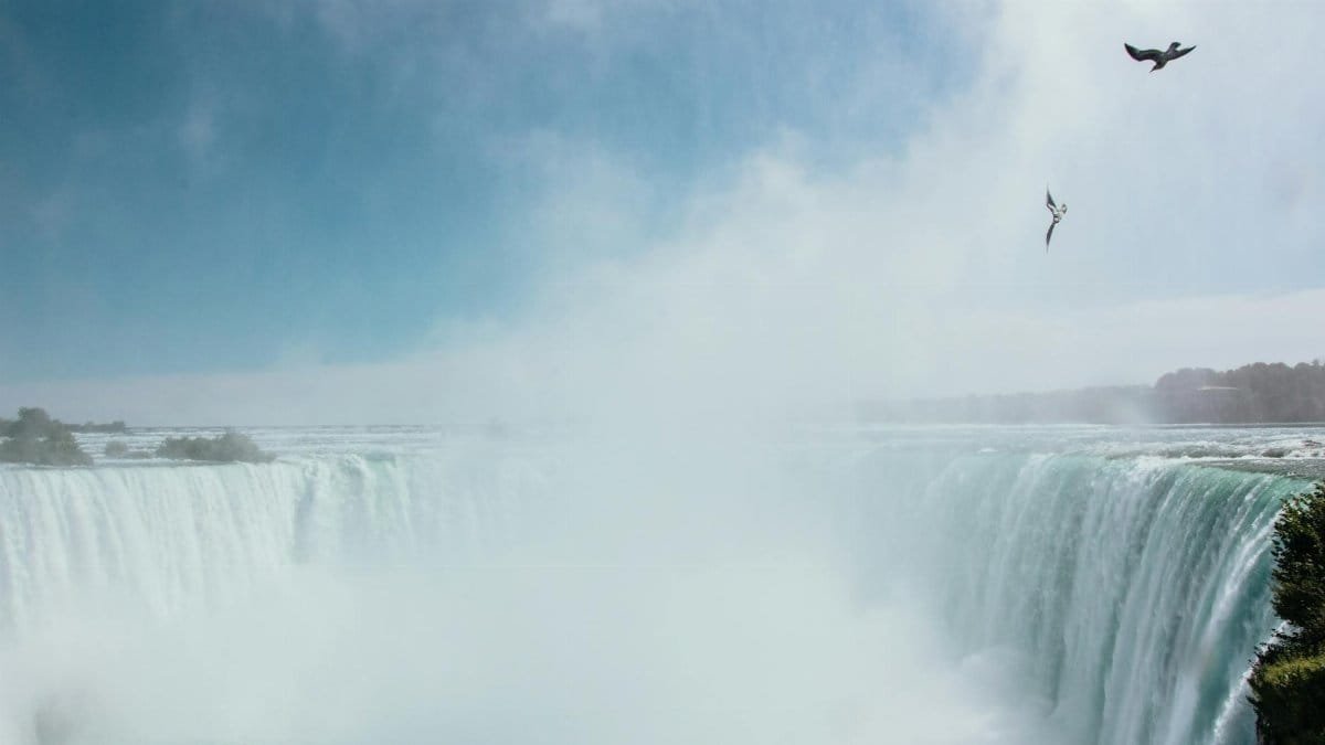 Majestic scene of Niagara Falls with birds soaring above the misty waterfall.
