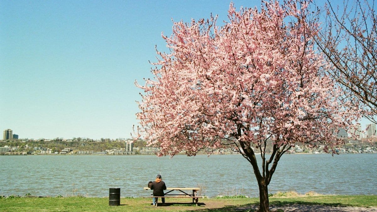 2. Obesity: A Growing Burden