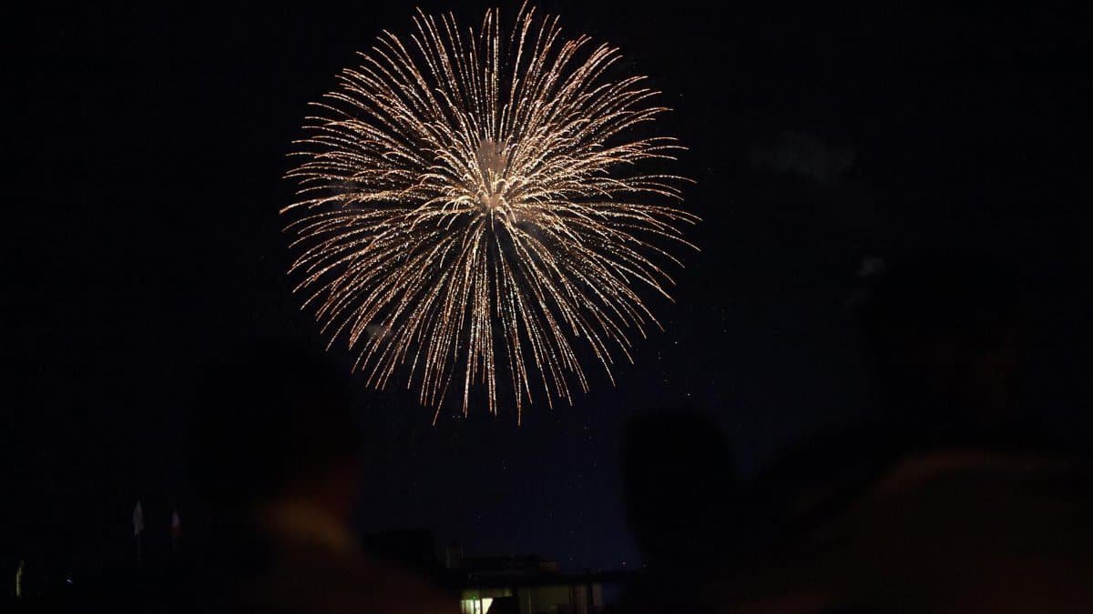 A breathtaking fireworks burst lighting up the night sky during a celebration.