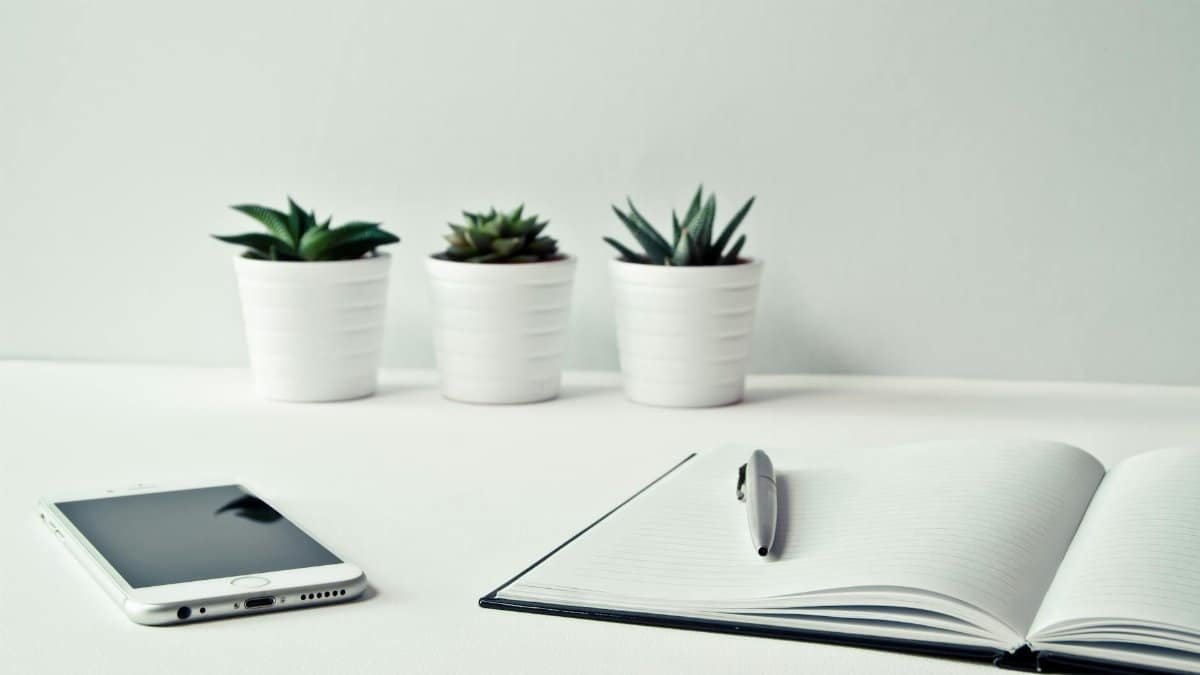 A clean, minimalist workspace featuring a smartphone, open notepad, pen, and potted succulents.
