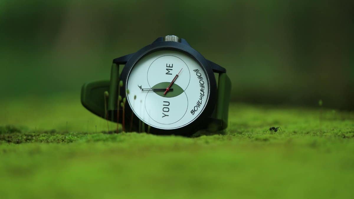 Close-up of a stylish wristwatch with text 'You Me' on a green moss surface.