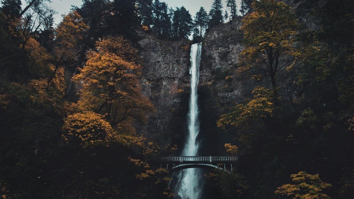 A stunning view of Multnomah Falls cascading amidst vibrant fall foliage in Oregon.