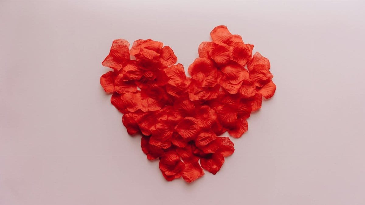 Red rose petals arranged in a heart shape on a pink background, symbolizing love and romance.