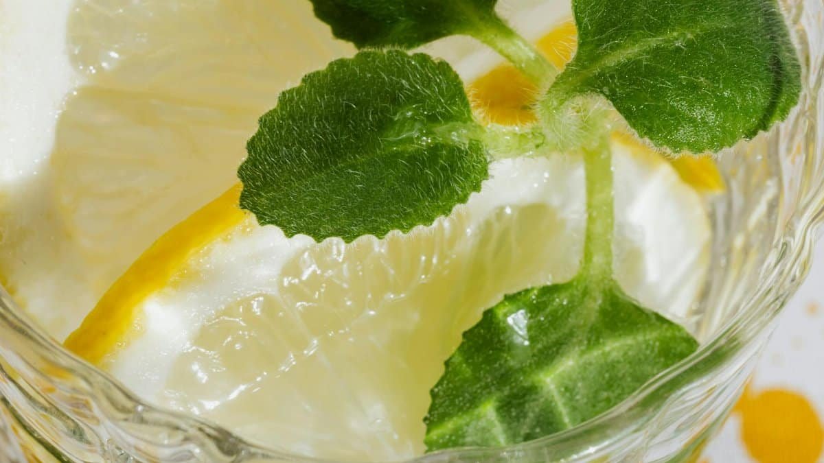 Closeup glass of fresh alcohol drink with pieces of lemon and leaves of mint